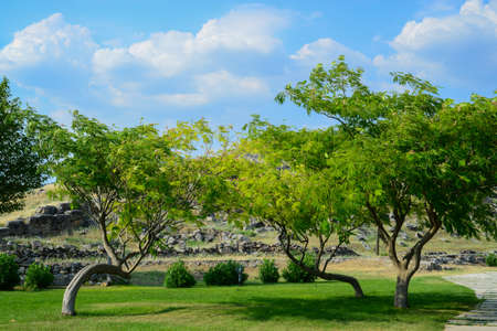 Pamukkale phrygia hiearpolis apollon templeの写真素材