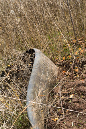 Old truck tire coverの写真素材