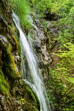 Waterfallの写真素材