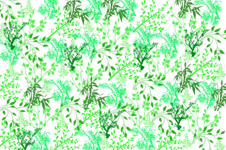 Green flower pattern on white texture backgroundの写真素材