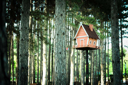 Home shaped wooden bird house in the pine forestの写真素材