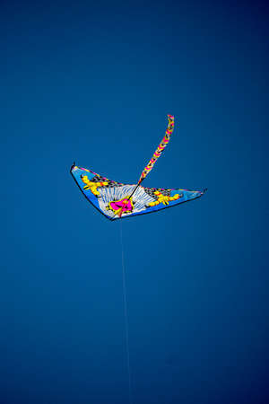 Kite flying in the blue skyの写真素材