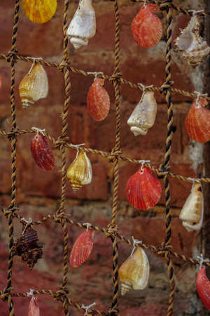 Sea shells attached on the fishing net texture template background close up viewの写真素材