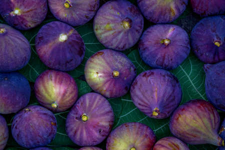 Fresh fig on leaves close up view template texture backgroundの写真素材
