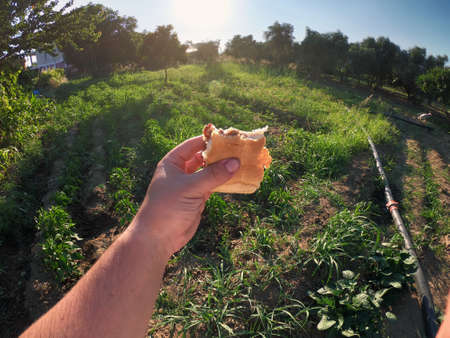 Home made tomato sauce and bread Turkish child snack in man hand on the gardenの写真素材