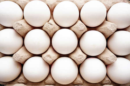White eggs on a raw close up view
