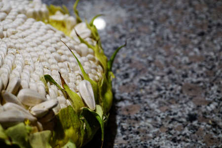 Organic sunflower and seed close up viewの写真素材