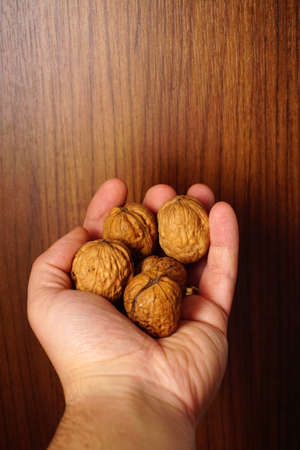 Couple of walnuts in man hand on wooden backgroundの写真素材
