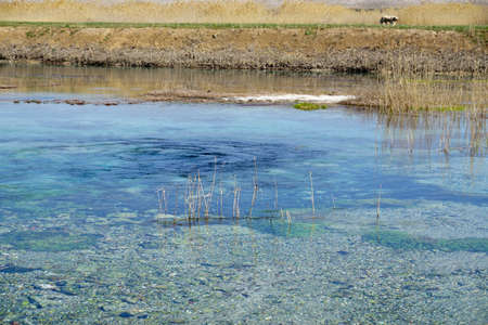 Sakarbasi in Cifteler Eskisehir Turkey the born place of the Sakarya river that flows to Blacksea Regionの写真素材