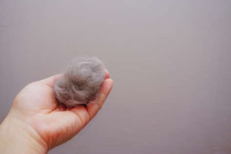 Pile of cat fur combed from scottish fold cat close up viewの写真素材