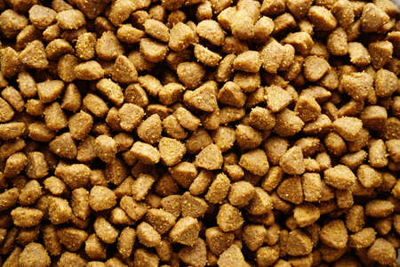 Cat food texture background close up viewの写真素材