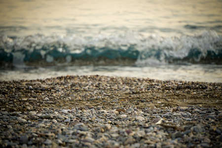 Pebble beach stone coastline close up viewの写真素材