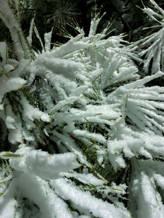 Frozen Porsuk river in Eskisehir at Kanlikavak park at night snow scenesの写真素材