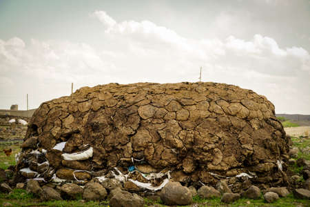 Pile of manure in  the village which is used as construction material or heatingの写真素材