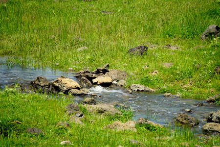 Little stream pouring along the green fieldsの写真素材
