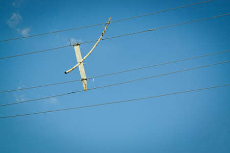 Wood pieces placed between the electric current lines to prevent bypass