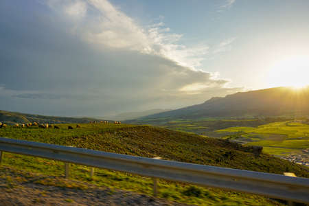Green fields in Cizre Turkey at Sunsetの写真素材