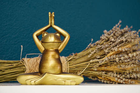 Tantra position frog figurine and sand clock close up viewの写真素材