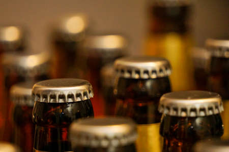Brewing home beer process at home in the kitchenの写真素材
