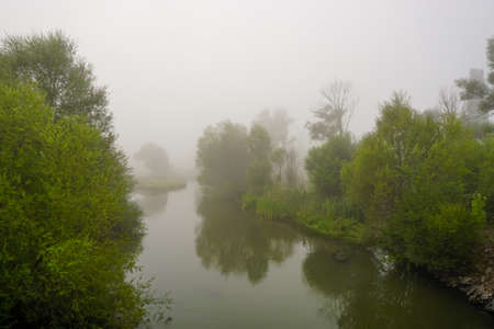 Camping in the nature waking up into a misty sunriseの写真素材