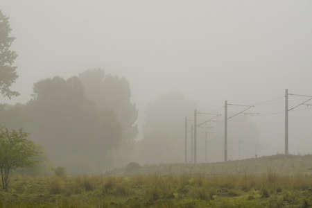 Railroad in the nature on a foggy morningの写真素材