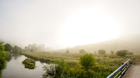 Camping in the nature waking up into a misty sunriseの写真素材
