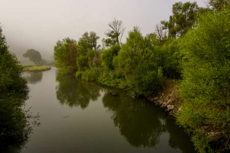 Camping in the nature waking up into a misty sunriseの写真素材