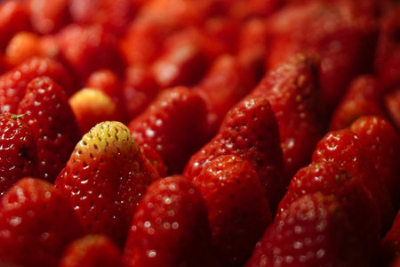 Frozen strawberries on the tray selective focus close up viewの写真素材