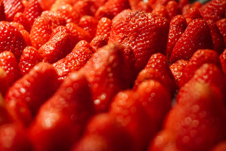 Frozen strawberries on the tray selective focus close up viewの写真素材