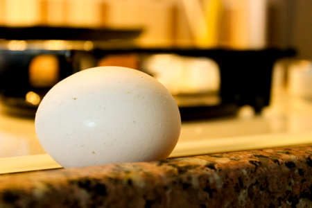 Single egg in the kitchen close up view