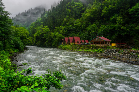 Stuning forest and river views of Karadeniz Black Sea region of Northern Turkey Camlihemsin Cat...