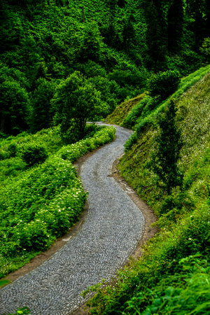 Stuning forest and river views of Karadeniz Black Sea region of Northern Turkey Camlihemsin Cat Village in Rize Turkeyの写真素材