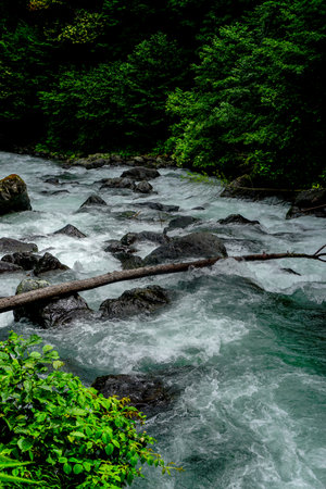 Stuning forest and river views of Karadeniz Black Sea region of Northern Turkey Camlihemsin Cat Village in Rize Turkeyの写真素材