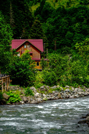 Stuning forest and river views of Karadeniz Black Sea region of Northern Turkey Camlihemsin Cat Village in Rize Turkeyの写真素材