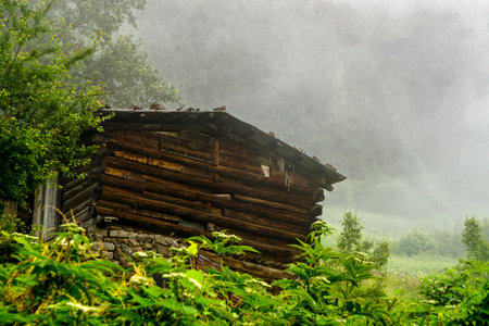 Stuning forest and river views of Karadeniz Black Sea region of Northern Turkey Camlihemsin Cat Village in Rize Turkeyの写真素材