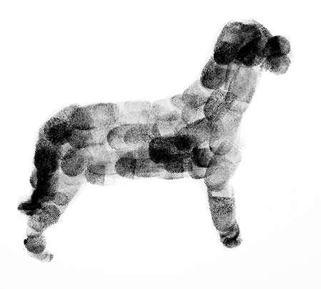 Dog Made Up of Fingerprintsの写真素材