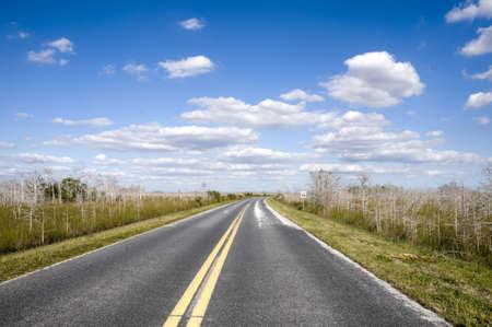 Road Through the Evergladesの写真素材