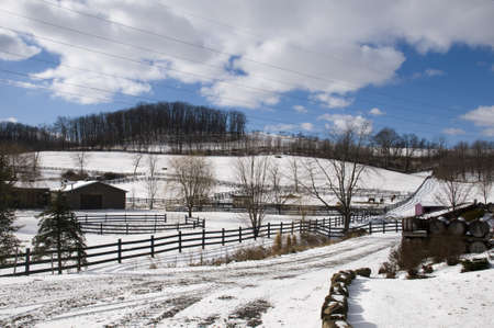 Vineyard in Ohio During Winterの写真素材