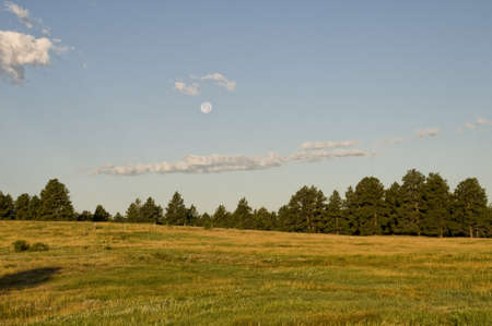 Wyoming in Summer