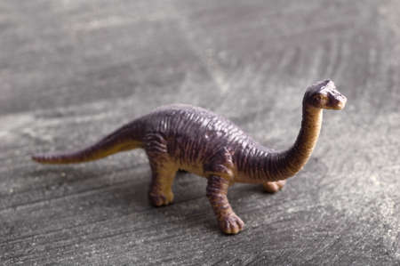 Dinosaur on Chalkboard