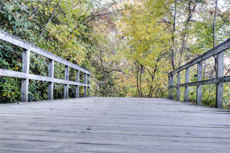 Boardwalk Through Woodsの写真素材