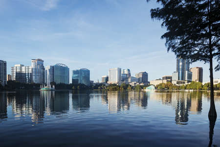 Park in Orlandoの写真素材