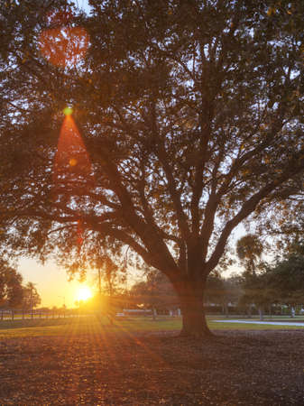 Vero Beachの写真素材
