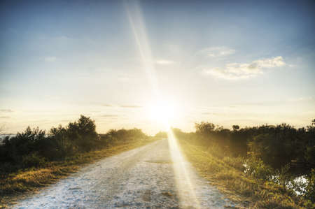 Merritt Island Wildlife Refugeの写真素材