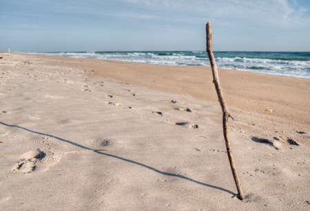 Canaveral National Seashore in Floridaの写真素材