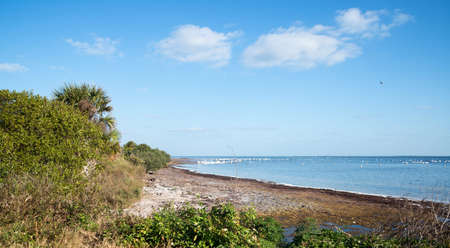 Merritt Island Wildlife Refugeの写真素材