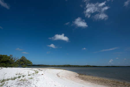 Tiger Key in Ten Thousand Islandsの写真素材