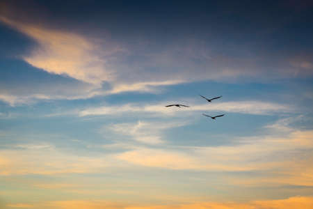 Sunrise at Sanibel Islandの写真素材