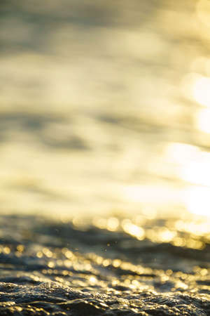 Close up of Gulf Coastの写真素材