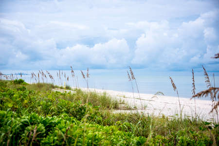 Bonita Springs, Floridaの写真素材